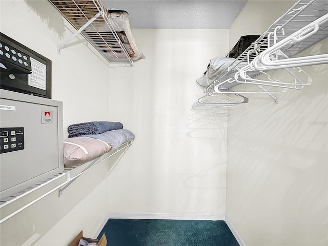 2040 Royal Bay Blvd Unit 30, Kissimmee, FL 34746 - view of spacious closet