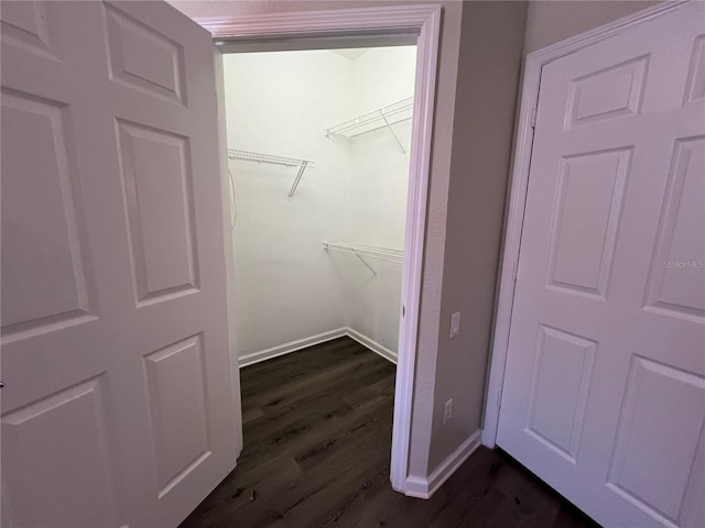 walk in closet with dark wood finished floors