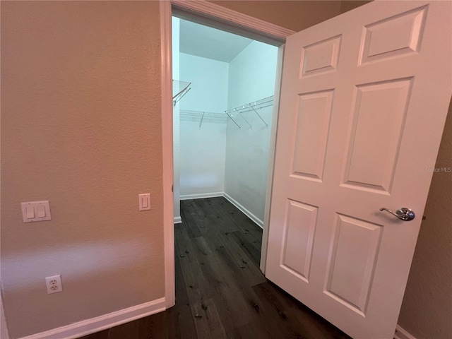 spacious closet featuring dark wood finished floors