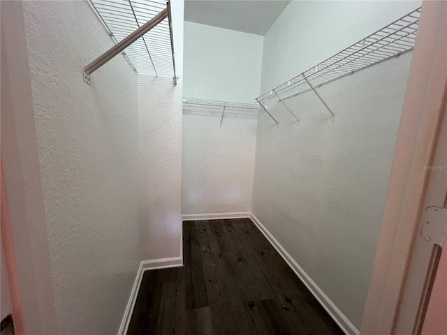 spacious closet featuring wood finished floors