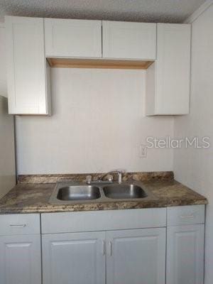 kitchen featuring a sink and white cabinets