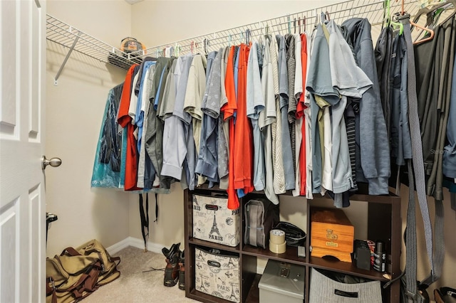 spacious closet featuring carpet flooring