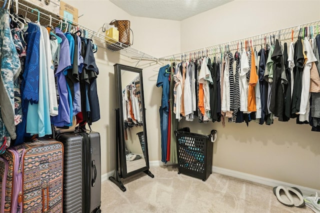 walk in closet with carpet flooring