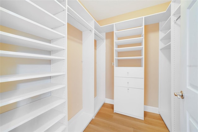 spacious closet featuring light wood-style flooring