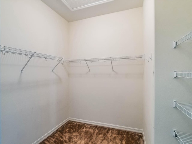 27307 Pine Straw Rd, Leesburg, FL 34748 - spacious closet with dark colored carpet