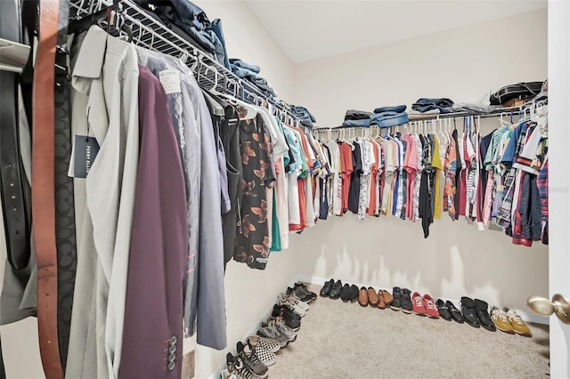 walk in closet featuring carpet flooring