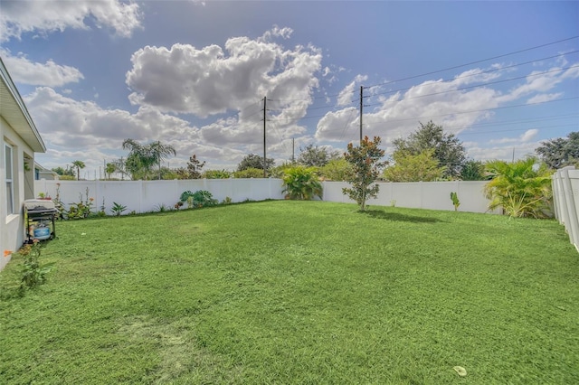 view of yard featuring a fenced backyard