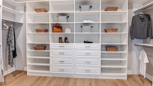 spacious closet featuring light wood finished floors