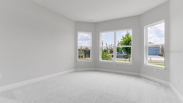 5641 Nevis Ter, Kissimmee, FL 34758 - unfurnished room featuring light colored carpet, plenty of natural light, and baseboards