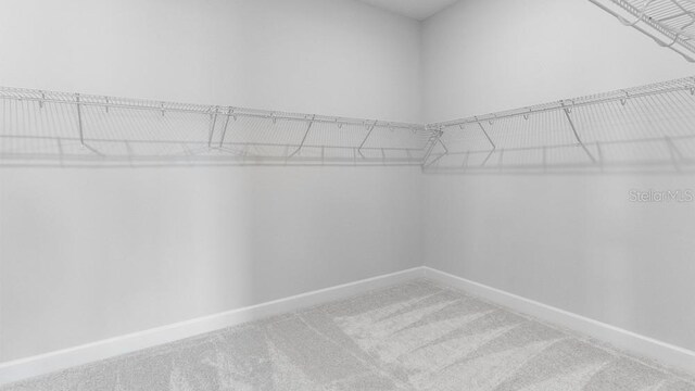 5641 Nevis Ter, Kissimmee, FL 34758 - spacious closet with carpet floors