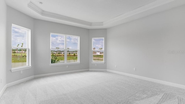5641 Nevis Ter, Kissimmee, FL 34758 - spare room featuring light carpet, a tray ceiling, and baseboards