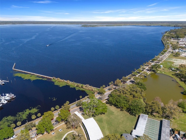 drone / aerial view with a water view