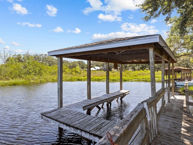 dock area with a water view