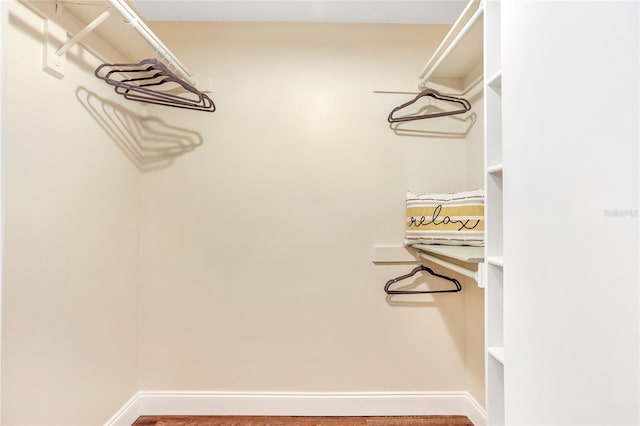 view of walk in closet