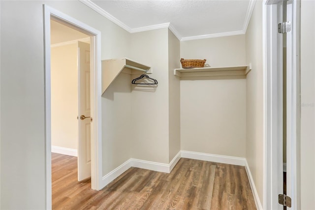 spacious closet featuring wood finished floors