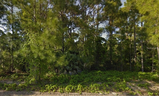 1541 Sarnia St NW, Palm Bay FL, 32907 land for sale