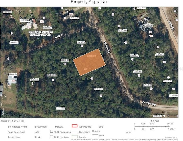 TBD Cornett Rd, Interlachen FL, 32148 land for sale