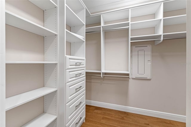 walk in closet with electric panel and wood finished floors