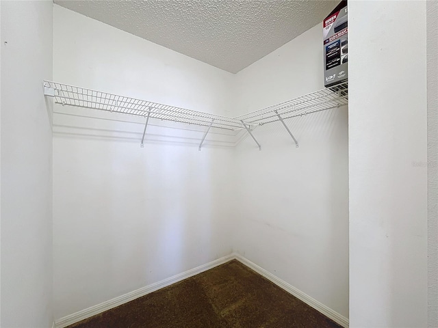 walk in closet with dark carpet