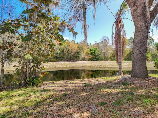 view of yard with a water view