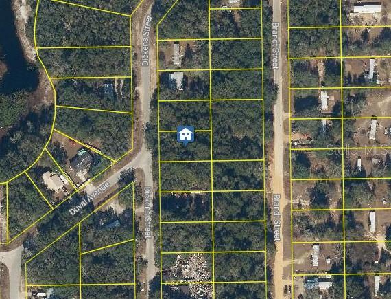 TBD Dickens St, Interlachen FL, 32148 land for sale