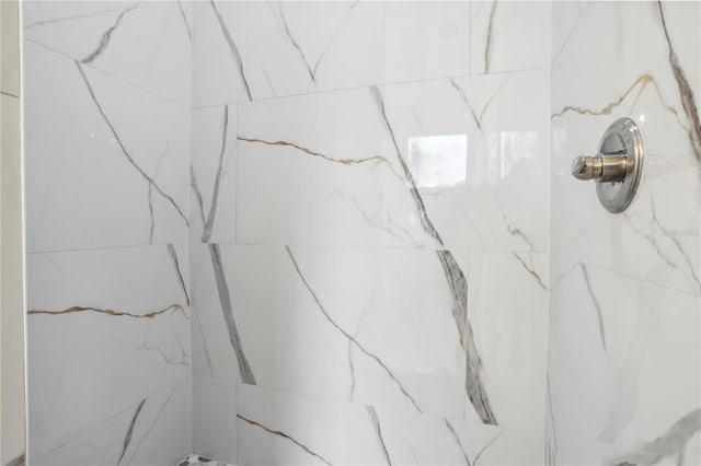 interior details with a marble finish shower