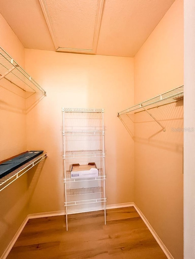 spacious closet featuring wood finished floors