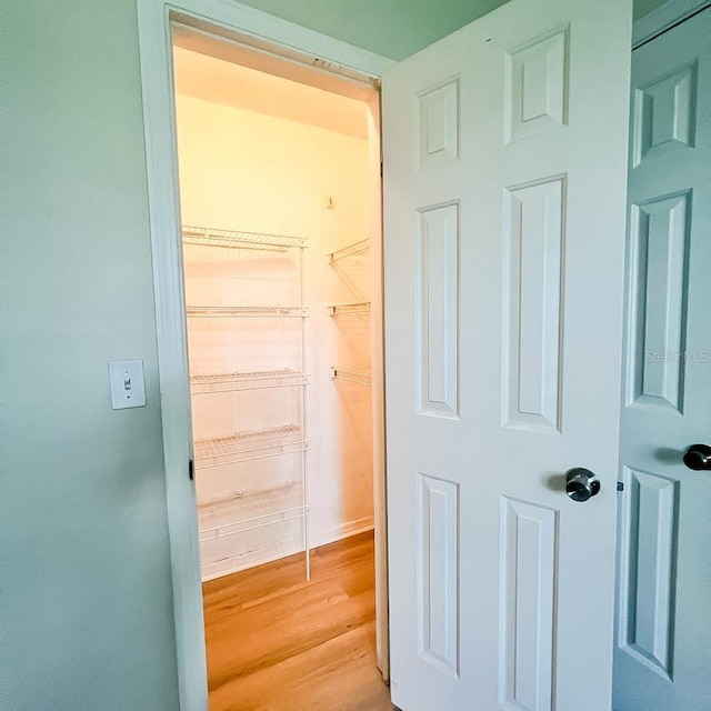 walk in closet with light wood-type flooring