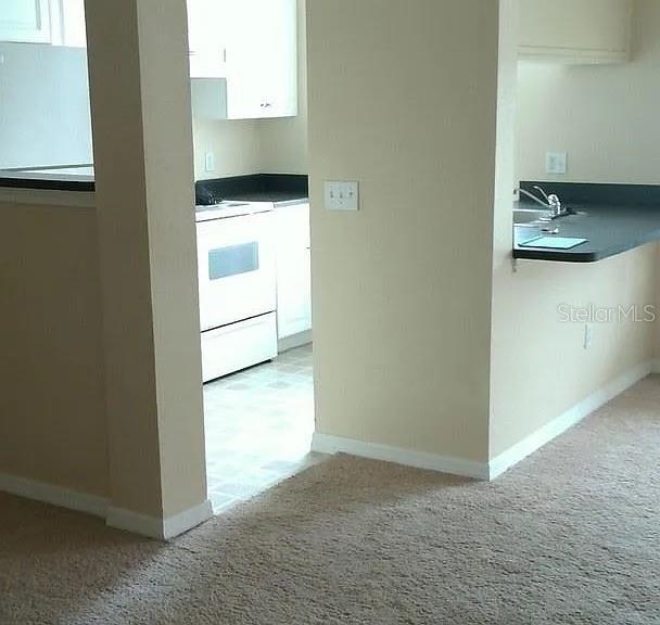 interior space featuring baseboards and light colored carpet