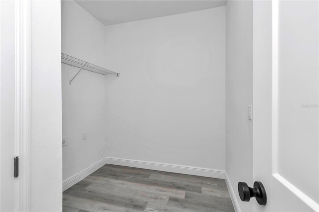 spacious closet featuring wood finished floors
