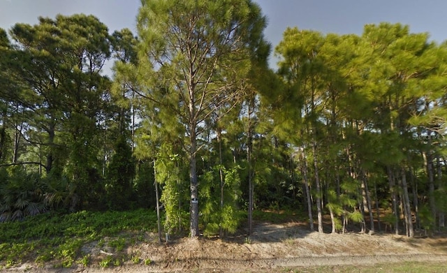 1559 Sarnia St NW, Palm Bay FL, 32907 land for sale