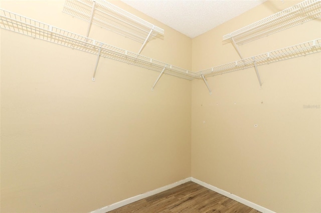 walk in closet featuring wood finished floors