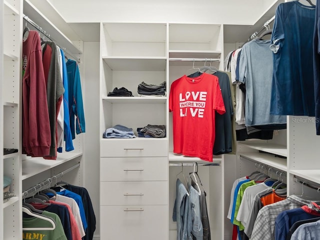 view of walk in closet