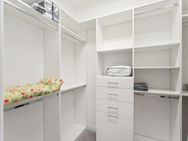 view of spacious closet