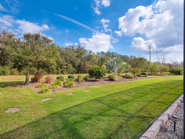 surrounding community with a lawn