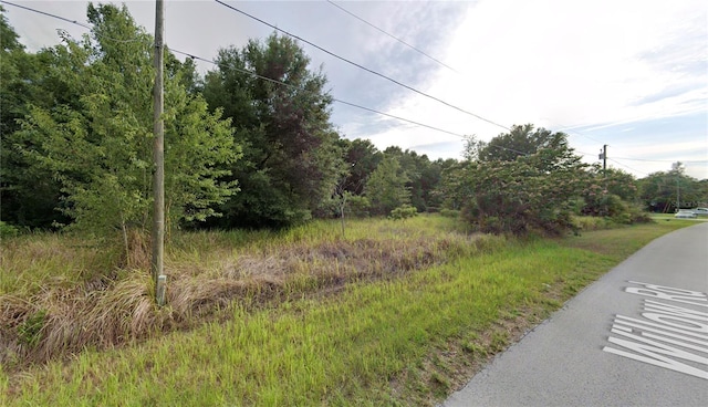 Listing photo 2 for Willow Rd, Ocala FL 34472