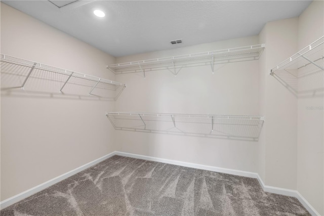 walk in closet featuring carpet and visible vents