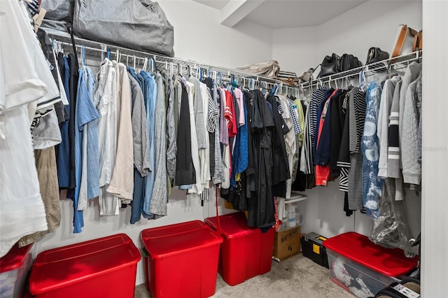 spacious closet with carpet floors