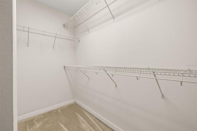 walk in closet featuring light colored carpet