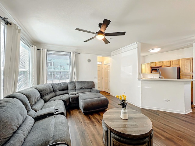 living area with crown molding, dark wood-style flooring, a ceiling fan, and baseboards