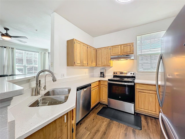 kitchen featuring stainless steel appliances, a sink, dark wood finished floors, and under cabinet range hood