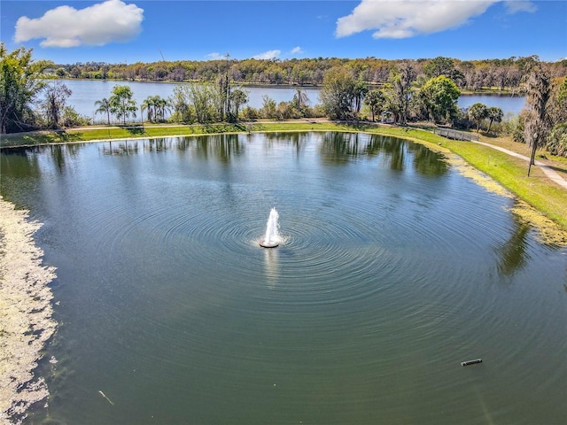 property view of water