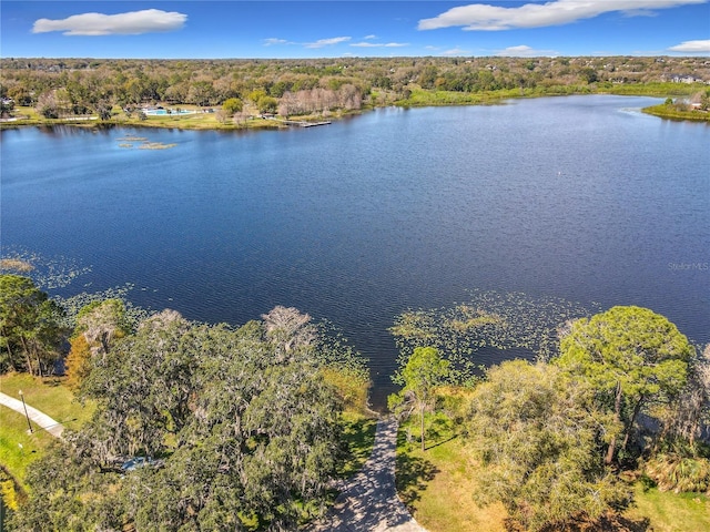 aerial view with a water view and a forest view