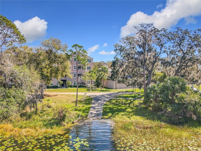 view of community featuring a yard