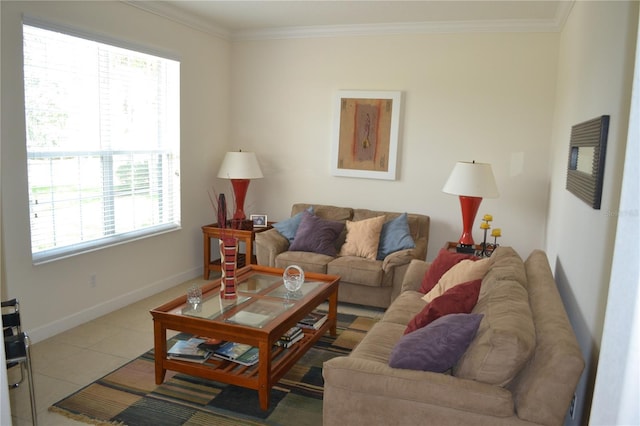 living room with ornamental molding and baseboards