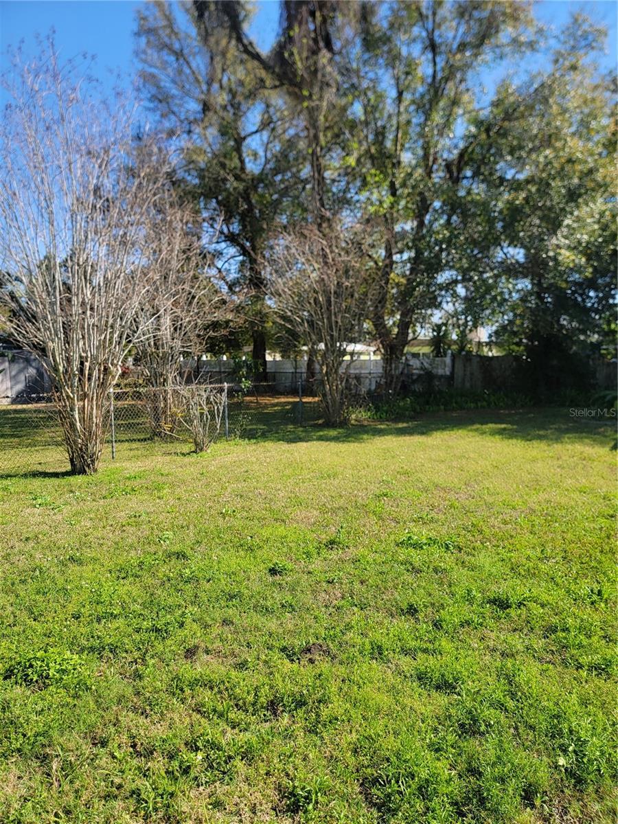 4202 Mizell St, Orlando, FL 32812 - view of yard featuring fence