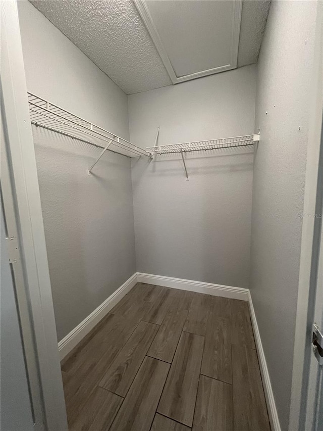 spacious closet featuring dark wood-style flooring and attic access