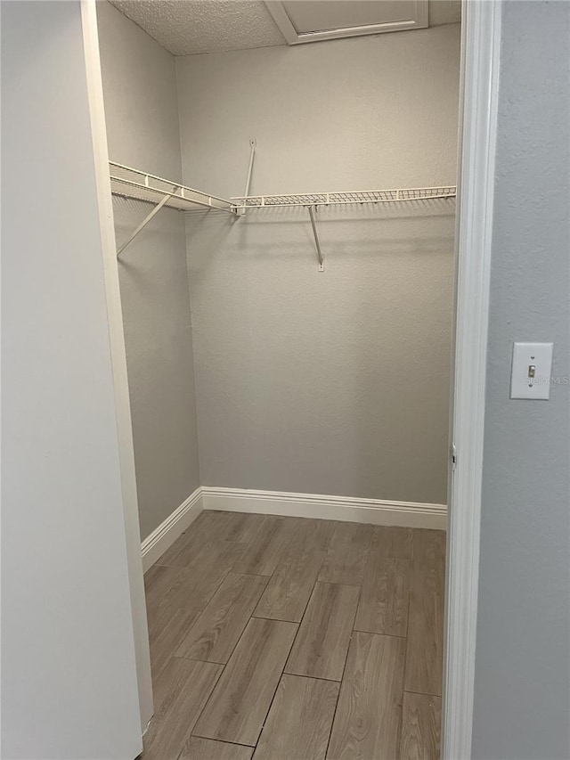 spacious closet featuring wood finished floors