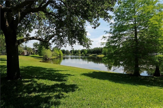 13413 Zori Ln, Windermere, FL 34786 - water view
