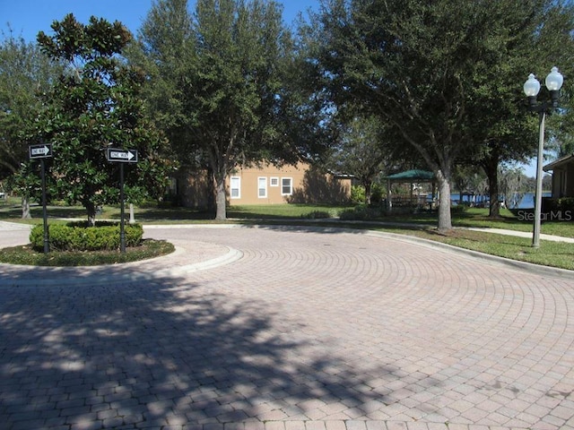 13413 Zori Ln, Windermere, FL 34786 - view of road featuring street lighting, sidewalks, and curbs